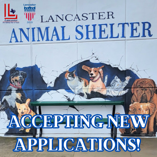 Copy of Your paragraph text