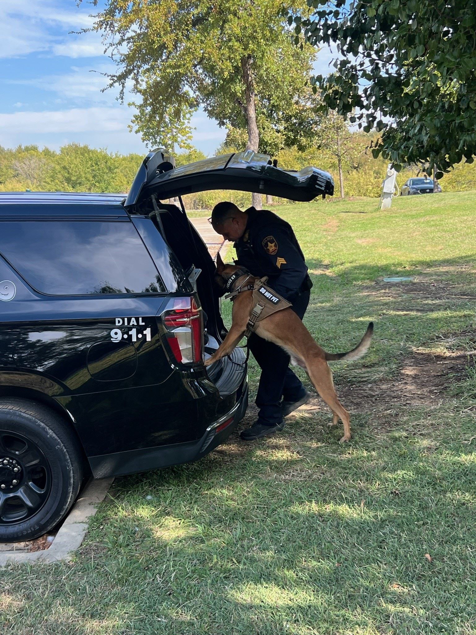 Choe peeking in the back of a squad car