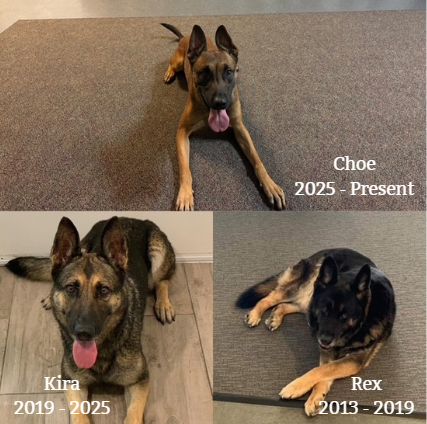 Choe 2025-Present, Kira 2019-2025, Rex 2013-2019