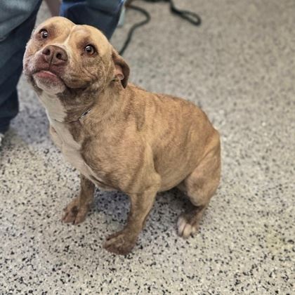 f39241fa-7747-4bde-8f5d-d7ecd927b20f