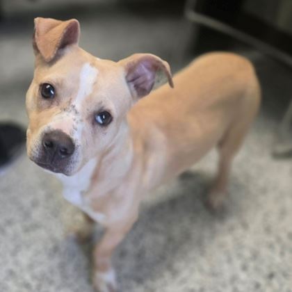 73fad477-75ff-49e0-9233-e58f5f10d26d